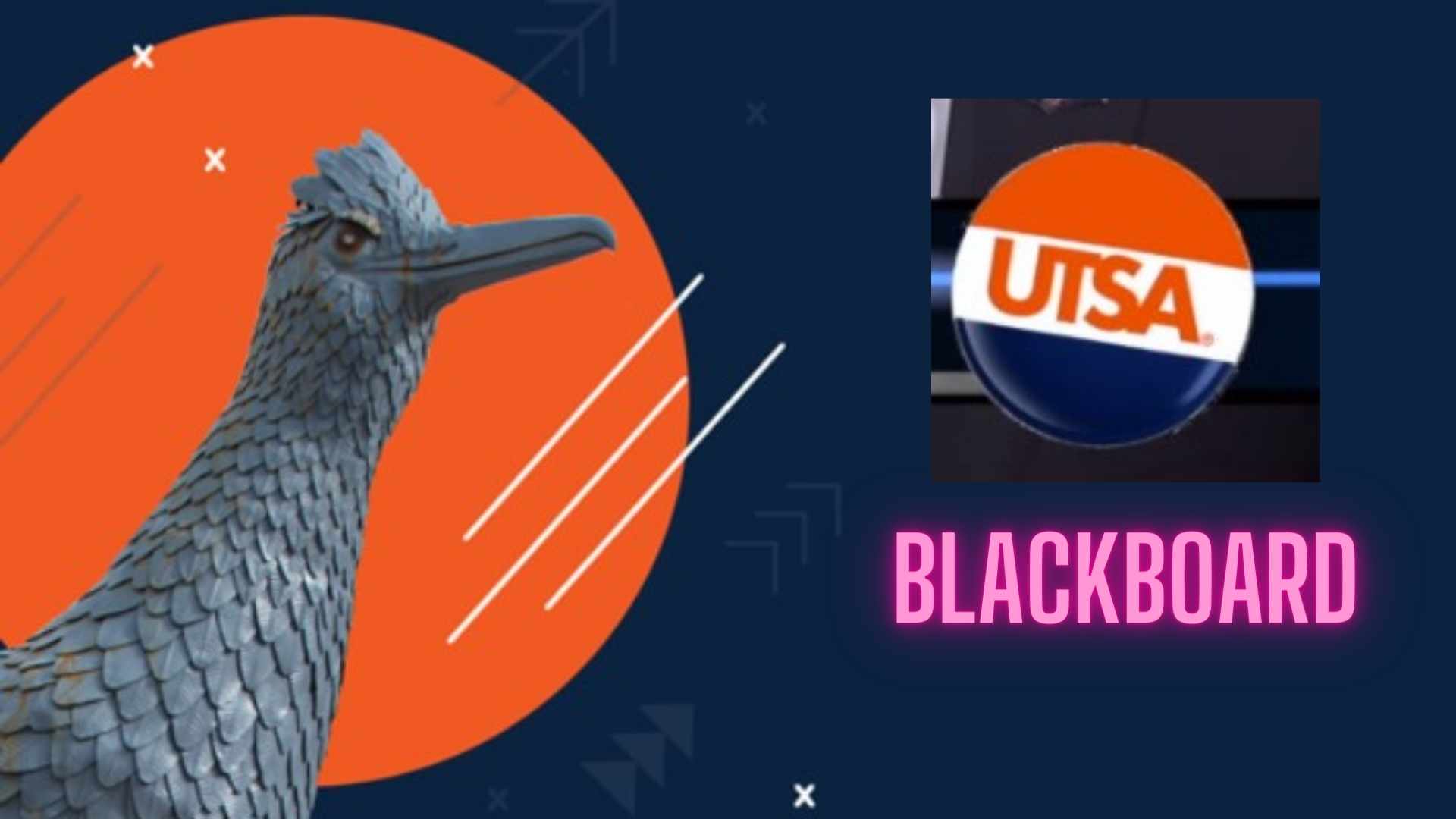 UTSA Blackboard