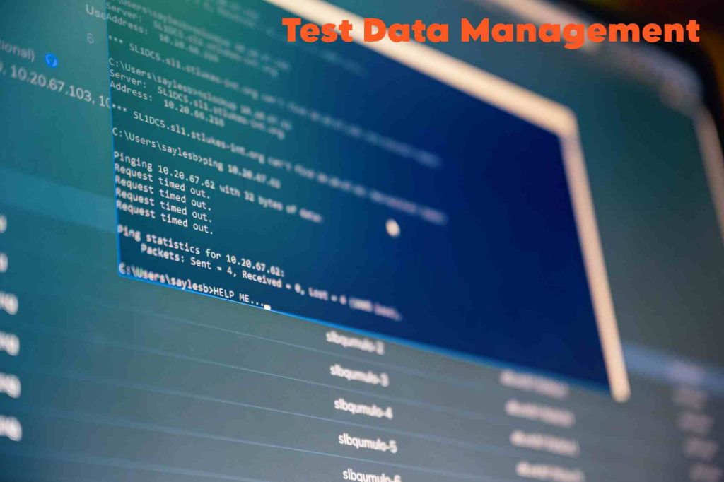 Test Data Management